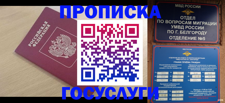прописка законно в Миллерово